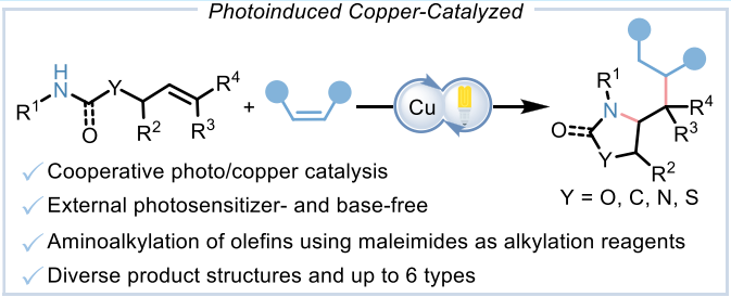 光诱导铜催化氨基悬链烯烃的胺烷基化反应