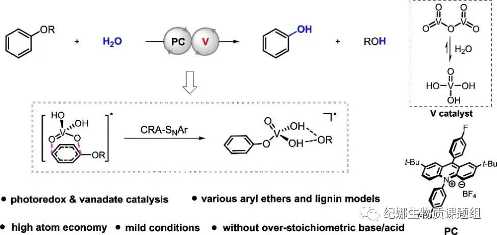 常温下光氧化还原和钒酸盐协同催化芳香醚氢解