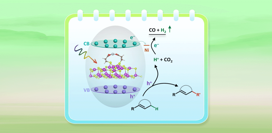 实现高效耦合催化CO2还原和烯丙基sp3 C–H键功能化