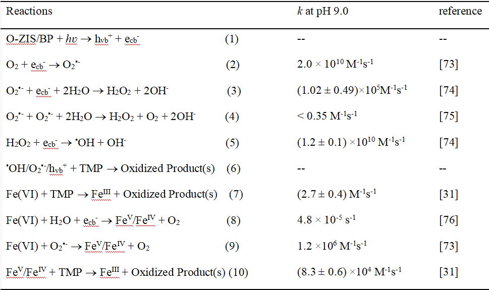 O-ZnIn2S4/BP纳米片异质结可见光催化活化Fe(VI)：加速氧化降解TMP